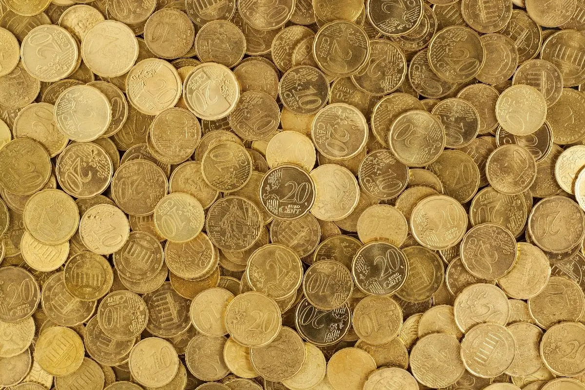 Immagine selezionata