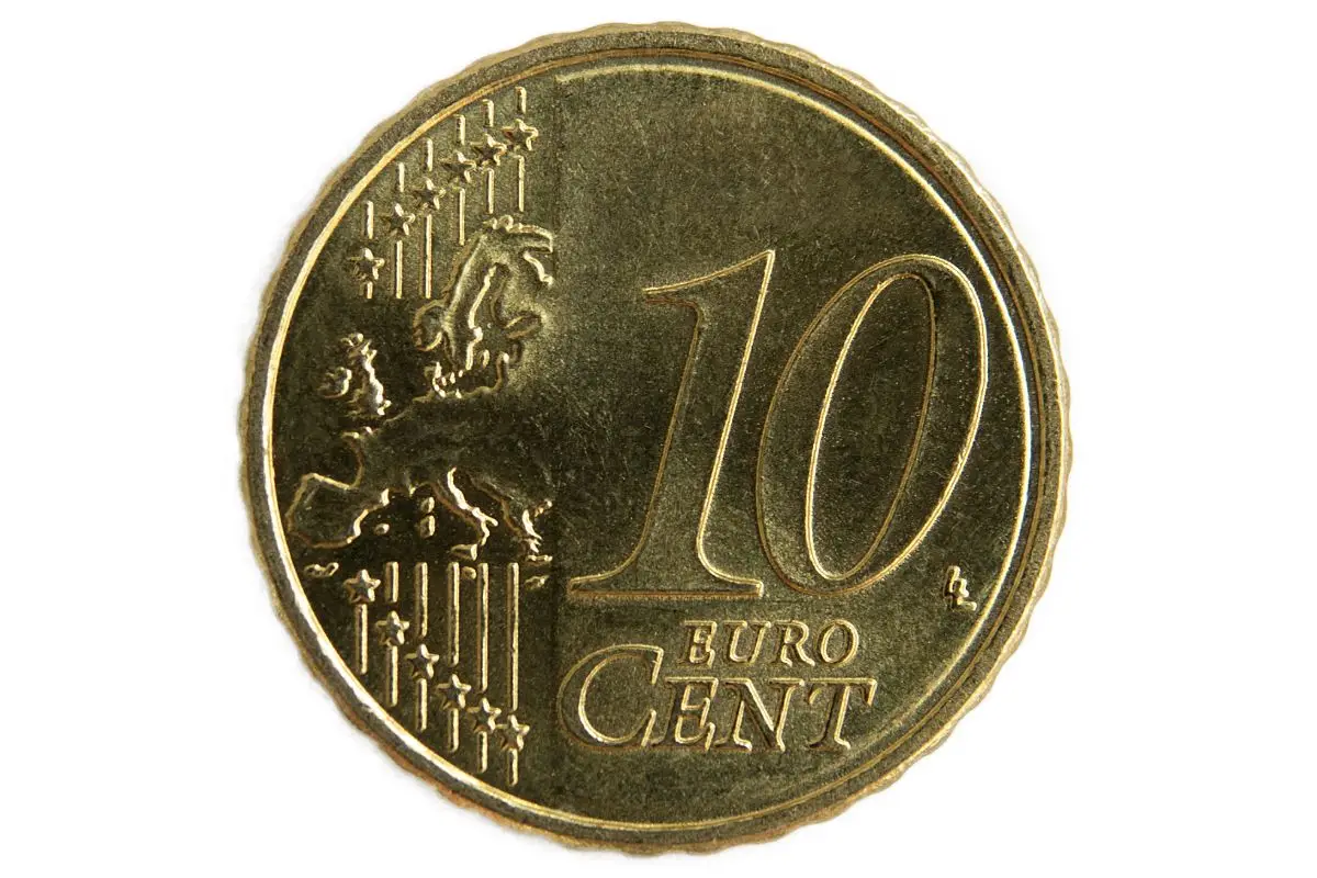 Immagine selezionata